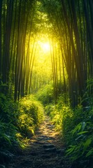 Fototapeta premium Sun shining through bamboo forest path
