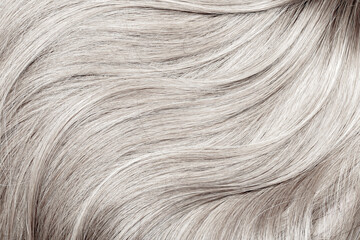 Fototapeta premium Blond hair close-up as a background. Women's long blonde hair. Beautifully styled wavy shiny curls. Hair coloring. Hairdressing procedures, extension. White hair
