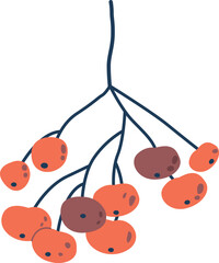 Viburnum berries autumn plant vector illustration