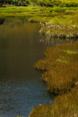 Sierra del Per&uacute;, provincia de Hu&aacute;nuco