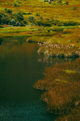 Sierra del Per&uacute;, provincia de Hu&aacute;nuco