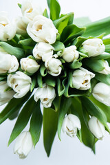 Fototapeta premium Bouquet of flowers. White Tulip on white background. Beautiful flowers for valentines and wedding scene. Valentines and 8 March Mother Women's Day concept.