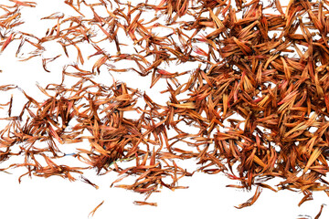 A dried Bombax flower or Bombax ceiba cut out with clipping paths, often used in cooking and traditional medicine.