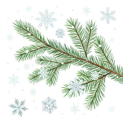 Obraz premium Christmas Spruce Branch with Snowflakes, Isolated on Transparent Background, Digital Illustration, Winter Design, Christmas, Holiday, PNG