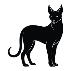 Silhouette of a Wild Dog or Coyote