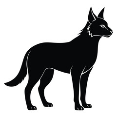 Silhouette of a Wild Dog or Coyote