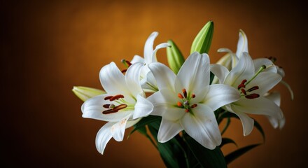 Obraz premium Beautiful white lilies in a vase against a warm, blurred background