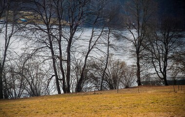 Lake Maltschach in the Austrian southern province of Carinthia in winter