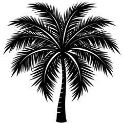 silhouette of palm tree