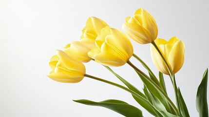 A bouquet of yellow tulips floating in mid-air, against a pure white seamless background, hyper-realistic reflections, ultra-sharp details, studio photography
