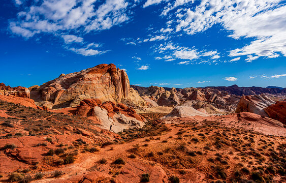 red rocks in the desert. Red rock canyon in desert landscape