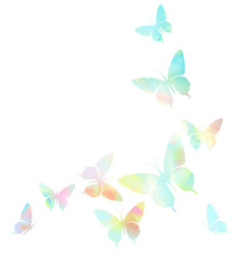 flying butterflies, rainbow illustration