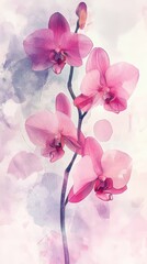 Pink orchid blossoms cascade down a slender stem in watercolor