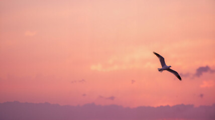 Naklejka premium Migrating bird soaring against pink-orange sunrise, freedom concept