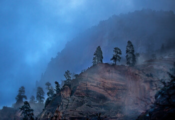 Zion Fog