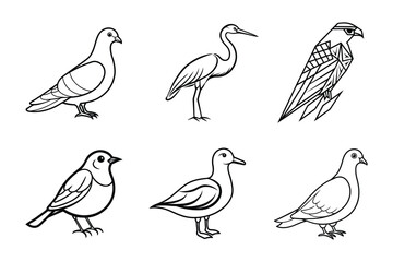 "Bird Illustrations Set – Pigeon, Heron, Hawk, Sparrow, Seagull, and Dove | Black and White Line Art Drawings"