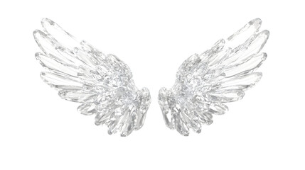 angel wings isolated on white