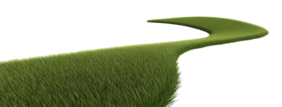 Grass path isolated on transparent background. 3D rendering.  