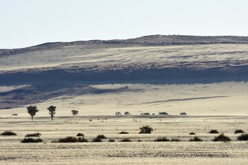 Obraz premium Sanddünen der Namib im Abendlicht in Namibia