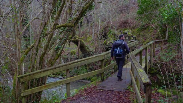 A pilgrim hikes along the Camino Primitivo, surrounded by nature, following the ancient route to Santiago de Compostela on a spiritual and cultural journey