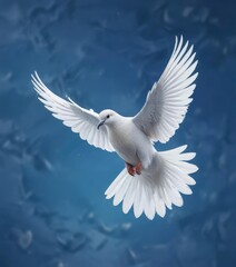 Elegant white dove flying on vibrant blue background, serene, symbolic, simple