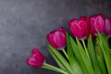 bouquet of tulips, tulips close up, tulips on a dark background, spring flowers, multicolored tulips 