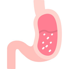 Stomach Icon