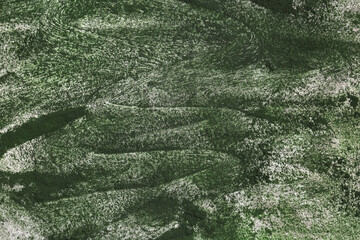 A spirulina powder background 
 texture