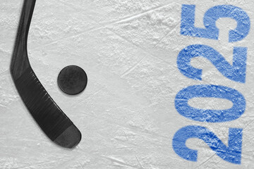 Puck and stick in a hockey arena