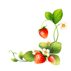 Red strawberry fruits with green leaves. Digital painting illustration