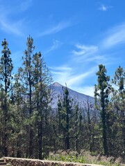 Peaceful Wilderness – Scenic Forest and Mountain Peak