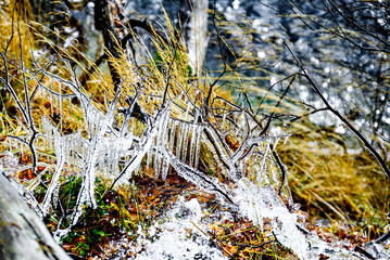 Close-up of icicles on the branches of a small waterfall in the forest of Lake Saint Maurice, in the Aigues Tortes National Park, Lerida
