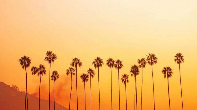 Silhouette of palm trees at sunset in Los Angeles with distant smoke rising