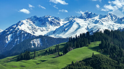 Fototapeta premium Snow Mountain Grassland in Xinjiang, China