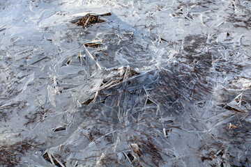 The ice on the river looks like a frozen onion skin, broken by old dry grass on the riverbank and the spring sun