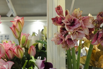 High-end holiday flowers, low-cost flower shop, rare flower materials, aesthetic lifestyle, creative flowers, flowers for high-income families, holiday flowers, flower retail design, self-care