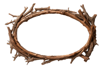 oval frame made of tree branches on a transparent isolated background