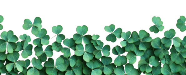 PNG 3d border of green clover leaves leaf background illustration.