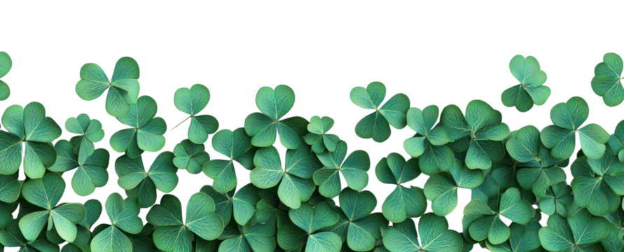PNG 3d border of green clover leaves leaf background illustration.