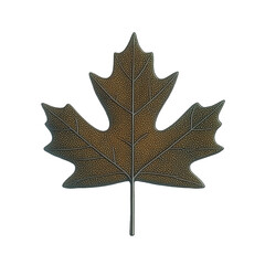 Fototapeta premium Realistic Botanical Illustration of a Brown Maple Leaf With Intricate Vein Details