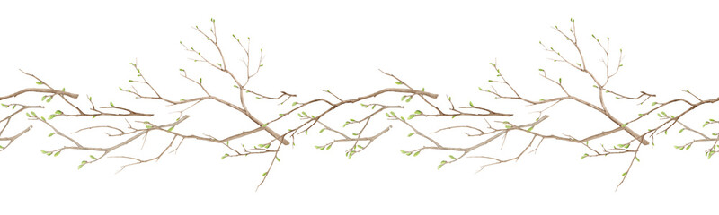Tree branches with green spring buds. Watercolor digital illustration. Young twigs on seamless pattern isolated on white background. Horizontal border for cards, greetings, kitchen and Easter theme.