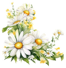 Fototapeta premium PNG Daisy flower corner frame daisies flowers daisy.