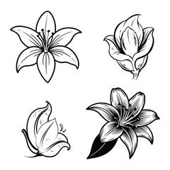 Elegant Black and White Lily Floral Design
