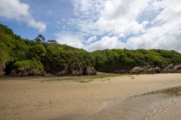 tropical beach with palm trees