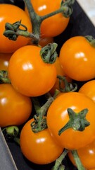 Freshly harvested orange tomatoes from a local farm displayed in a basket during a sunny afternoon market