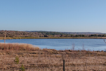 Lake in a forest