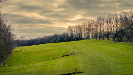 sunset over the field
