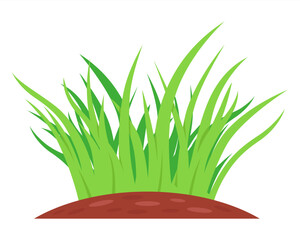small bush of green grass growing from the ground. flat illustration