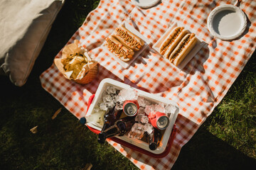 Picnic with hot dogs and cold drinks in cooler bag on red tablecloth in a park.