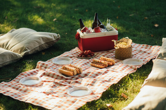 Picnic with hot dogs and cold drinks in cooler bag on red tablecloth in a park.